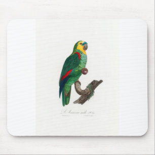 tropical macaw parrot mouse mat