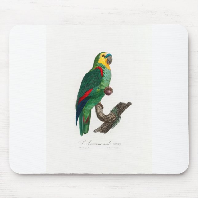tropical macaw parrot mouse mat (Front)