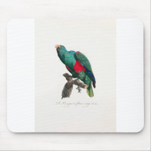 tropical macaw parrot mouse mat