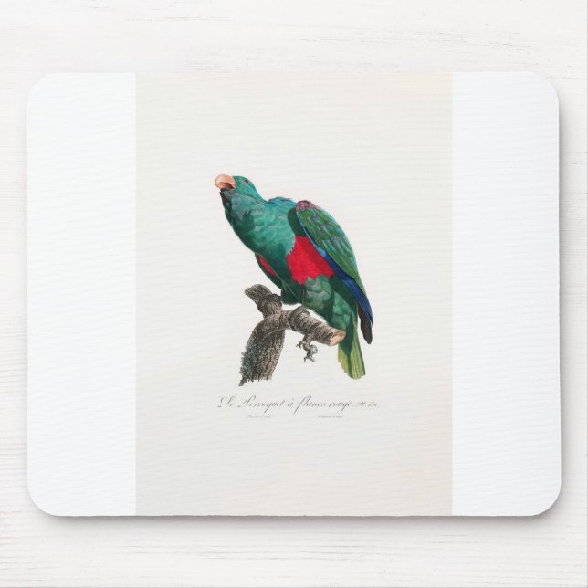 tropical macaw parrot mouse mat (Front)