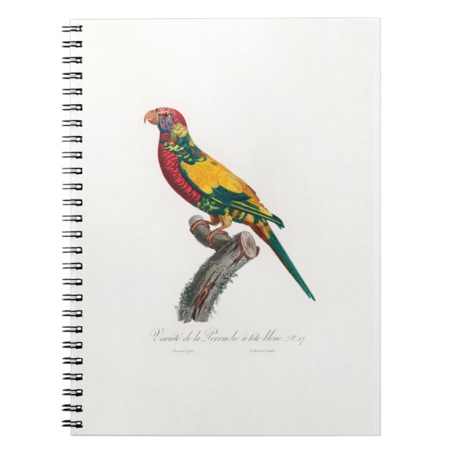 tropical macaw parrot notebook (Front)