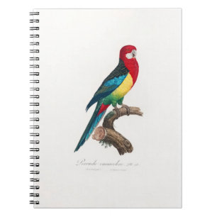 tropical macaw parrot notebook