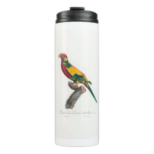 tropical macaw parrot thermal tumbler