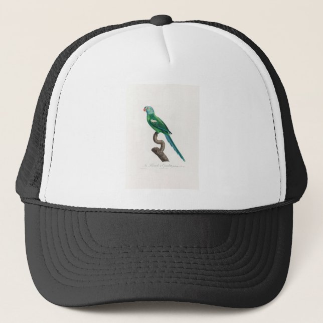 tropical macaw parrot trucker hat (Front)