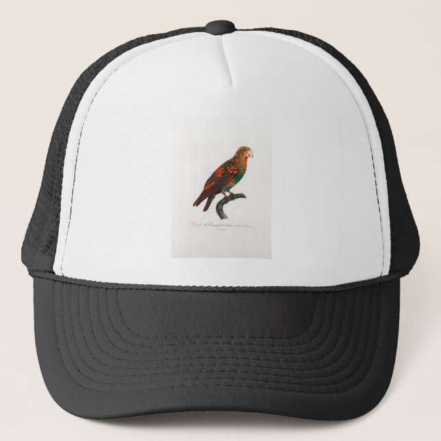 tropical macaw parrot trucker hat (Front)