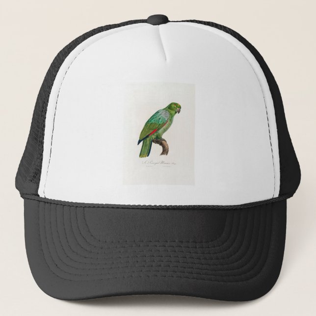 tropical macaw parrot trucker hat (Front)