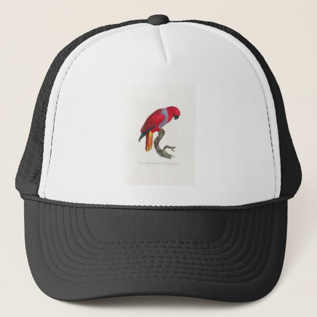 tropical macaw parrot trucker hat (Front)