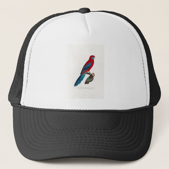 tropical macaw parrot trucker hat (Front)