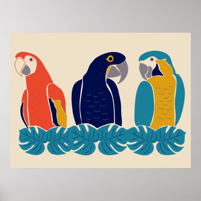 Tropical Macaws, Birds Illustrations Poster (Front)