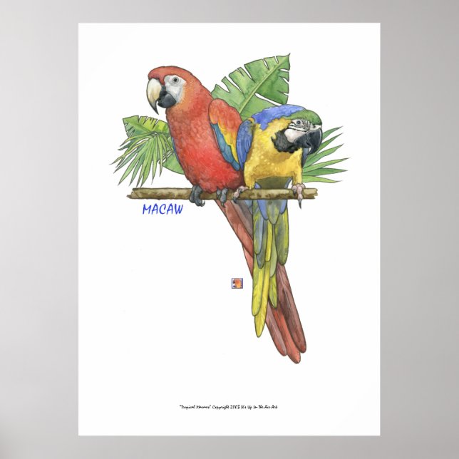 Tropical Macaws Poster (Front)