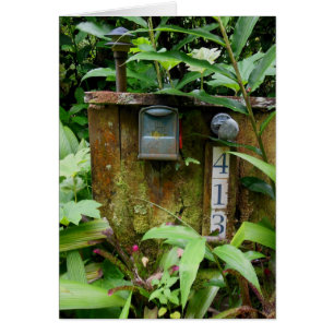 Tropical Mail Box