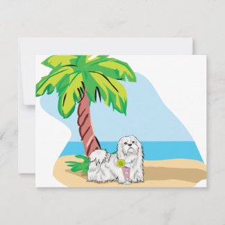 tropical maltese