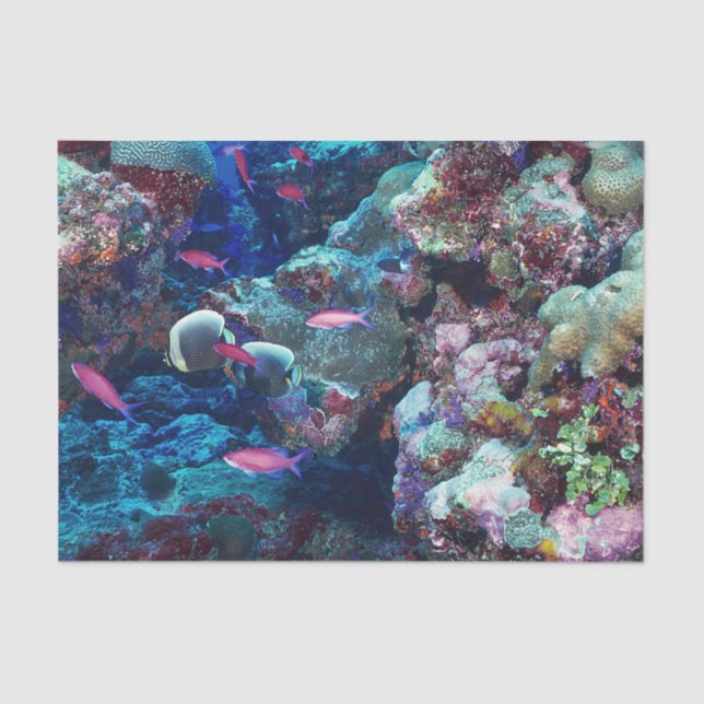 Tropical Marine Life Tissue Paper (Front)