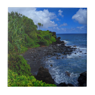 Tropical Maui Hawaiian Island Beach Tile
