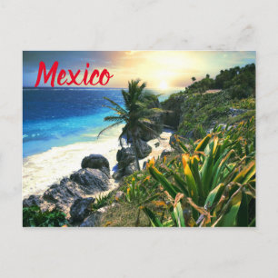 Tropical Mexico Beach Shore Sunset Palm Island Postcard