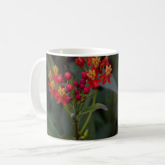 Tropical Milkweed Coffee Mug