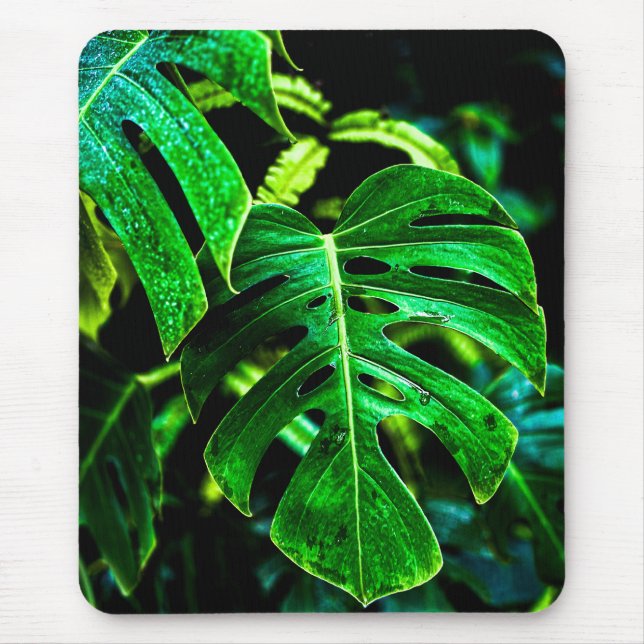 Tropical Monstera Glow – Jungle Leaf Photography Mouse Mat (Front)