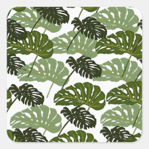 Tropical Monstera Leaf Green Square Sticker