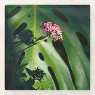 Tropical Monstera Leaf, Pink Flower Botanical Glass Coaster