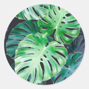 Tropical Monstera Leaves Classic Round Sticker