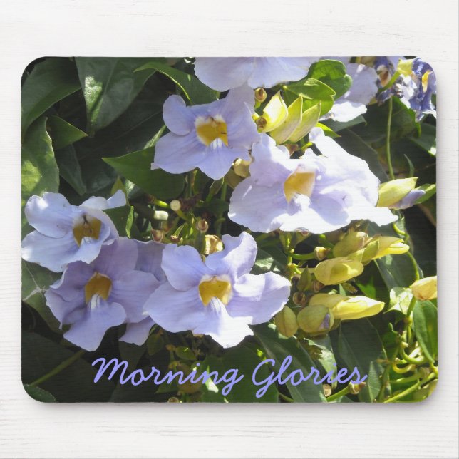 Tropical Morning Glories Mouse Mat (Front)