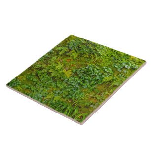 Tropical Nature Print Tile