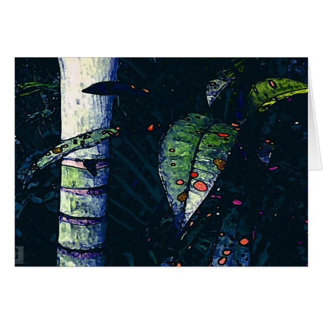 Tropical night (Front Horizontal)