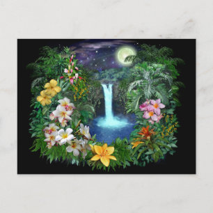 Tropical Nights Postcard