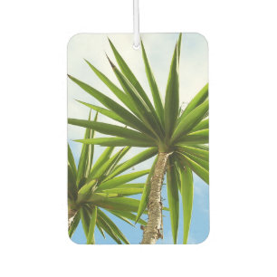 Tropical Oasis Car Air Freshener