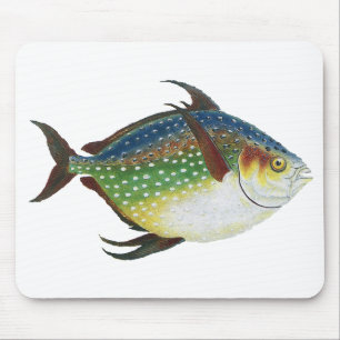 Tropical Opah Fish, Vintage Marine Aquatic Animal Mouse Mat