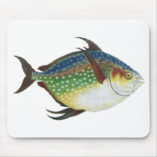 Tropical Opah Fish, Vintage Marine Aquatic Animal Mouse Mat