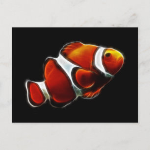 Tropical Orange Clownfish Clown Fish Postcard