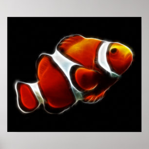 Tropical Orange Clownfish Clown Fish Poster