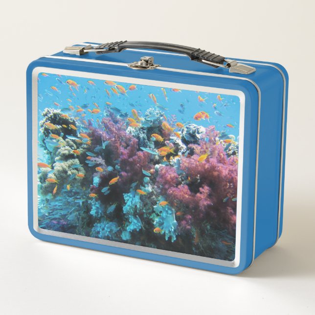 Tropical Orange Fish and Pink Coral Metal Lunch Box (Front)
