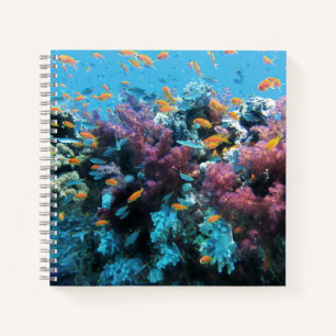 Tropical Orange Fish and Pink Coral Notebook