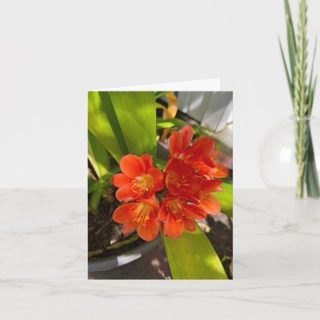 Tropical Orange Thank You Card (Front)