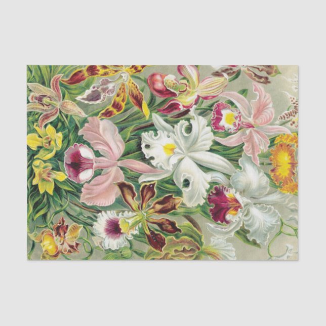 Tropical Orchid Flowers Floral Tissue Paper (Front)