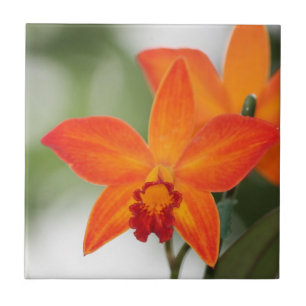 Tropical Orchid Tile