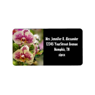 Tropical Orchids Label