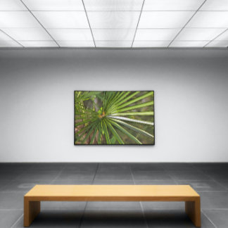 Tropical Palm Black Outline Art Canvas Print