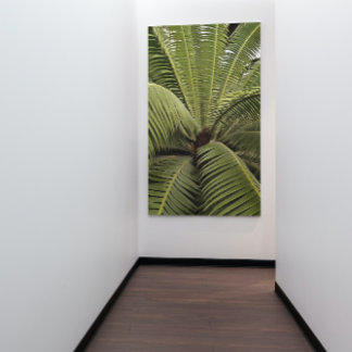Tropical Palm Botanical Art Dioon Spinulosum  Poster