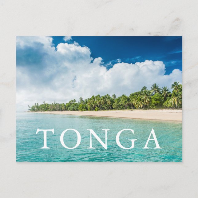 Tropical Palm Fringed Beach Postcard (Front)