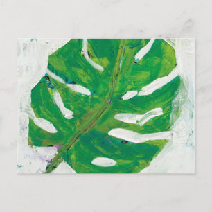 Tropical   Palm Leaf Postcard