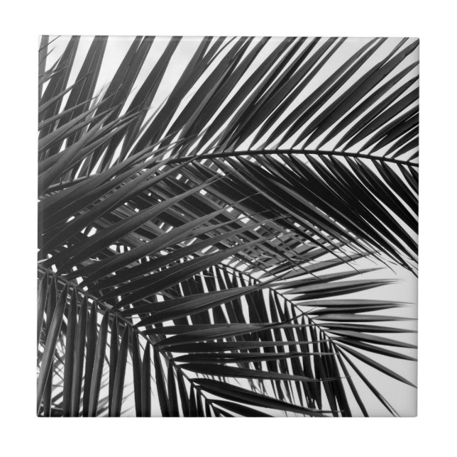 Tropical Palm Leaves - Black and White Photography Tile (Front)