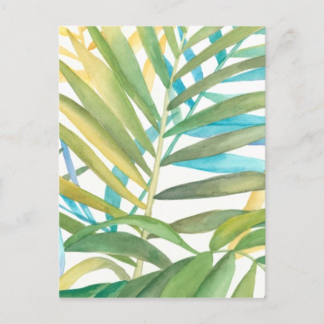Tropical Palm Leaves Postcard (Front)