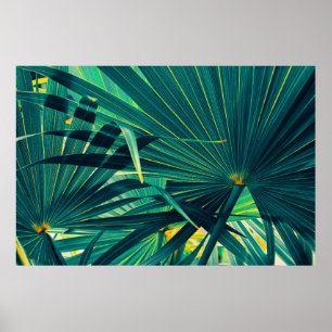 Tropical palm leaves poster