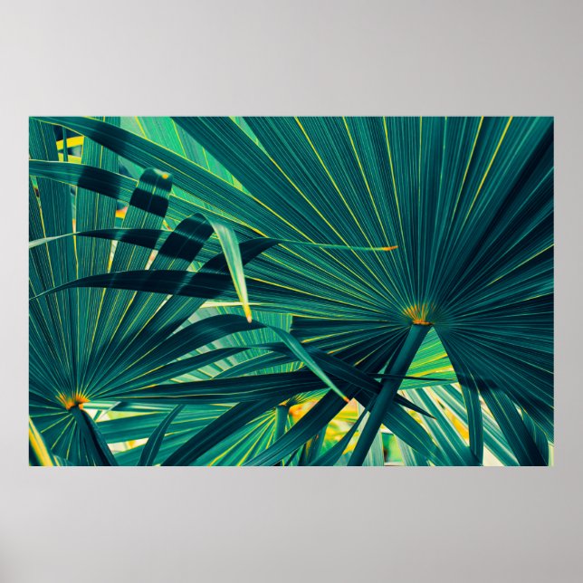 Tropical palm leaves poster (Front)