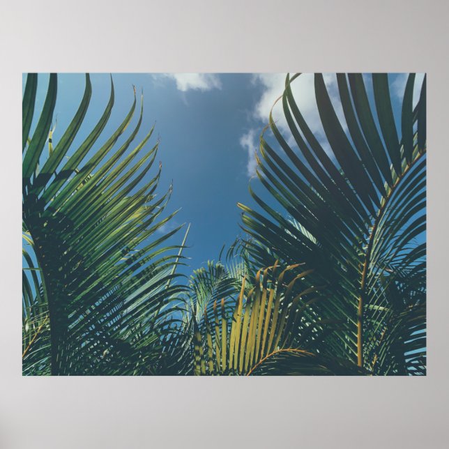 TROPICAL PALM LEAVES POSTER (Front)