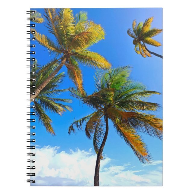 Tropical Palm Notebook – Caribbean Vibes Journal (Front)