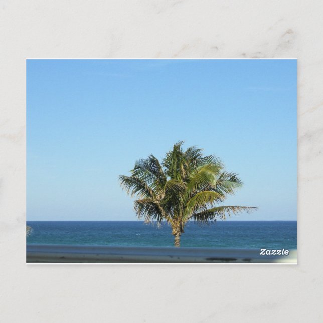 Tropical Palm Ocean Horizon Postcard Design (Back)